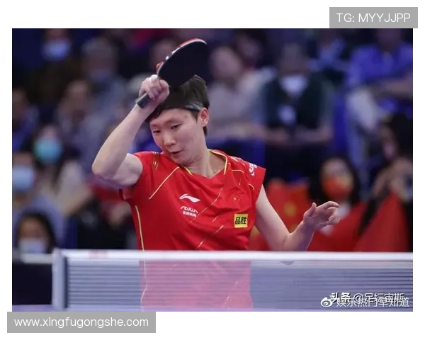 杭州排球队的拼搏之路与大满贯梦想的追逐历程